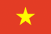 Vietnamese Television